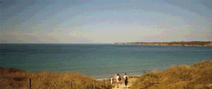 strand.jpg