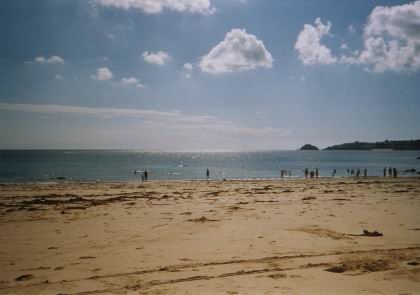 strand2.jpg